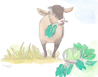 「第三章 女性牛飼いの章⑥」～草を食べなくなったヤギ～